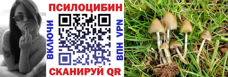 Галлюциногенные грибы MAGIC MUSHROOMS  Горбатов 