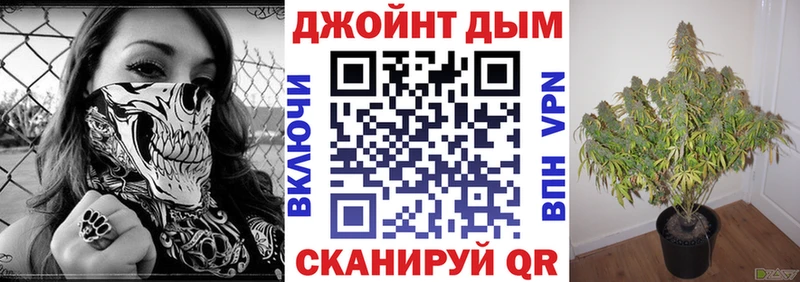 Бошки Шишки сатива  купить наркотик  Горбатов 